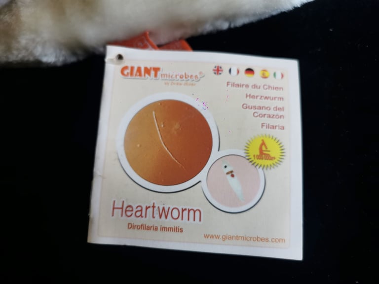 ​🦠 GIANT Microbes Plush Toy Collection - Science, Gags & Collectibles! (Bundle Price!)