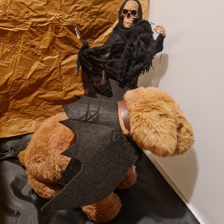 image for Halloween felt like bat wings for pets
