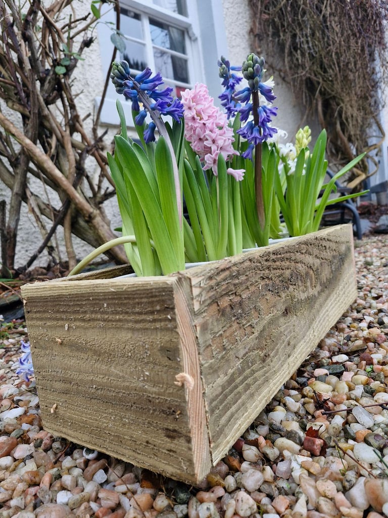 image for £10 Flower planters 