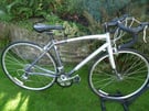 SPECIALIZED DOLCE ROAD BIKE  55c IMMACULATE CONDITION