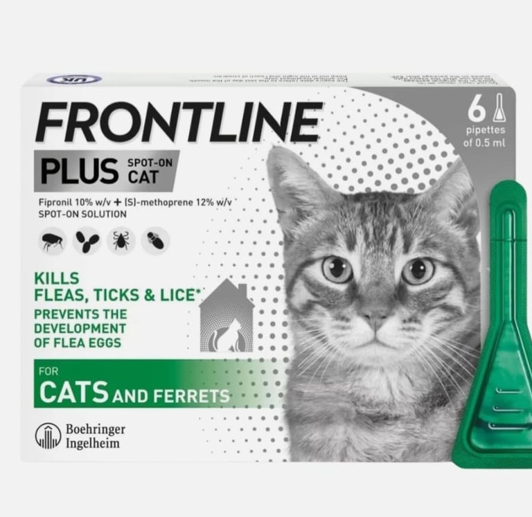 Frontline cats