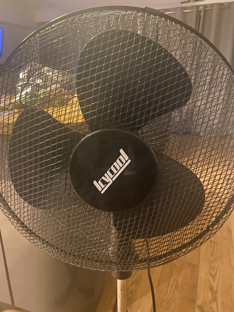 Standing black fan 