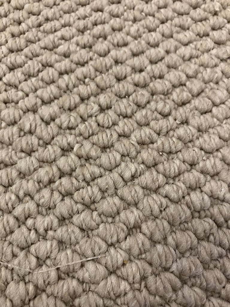Cream Carpet 2.3 x 2.9m brand new