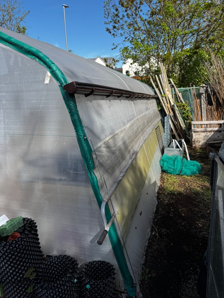 Haygrove polytunnel