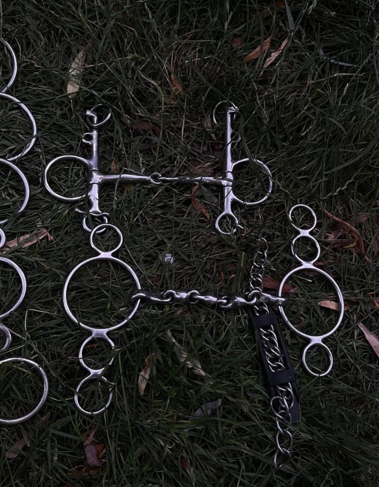 7 DIFFERENT HORSE BITS