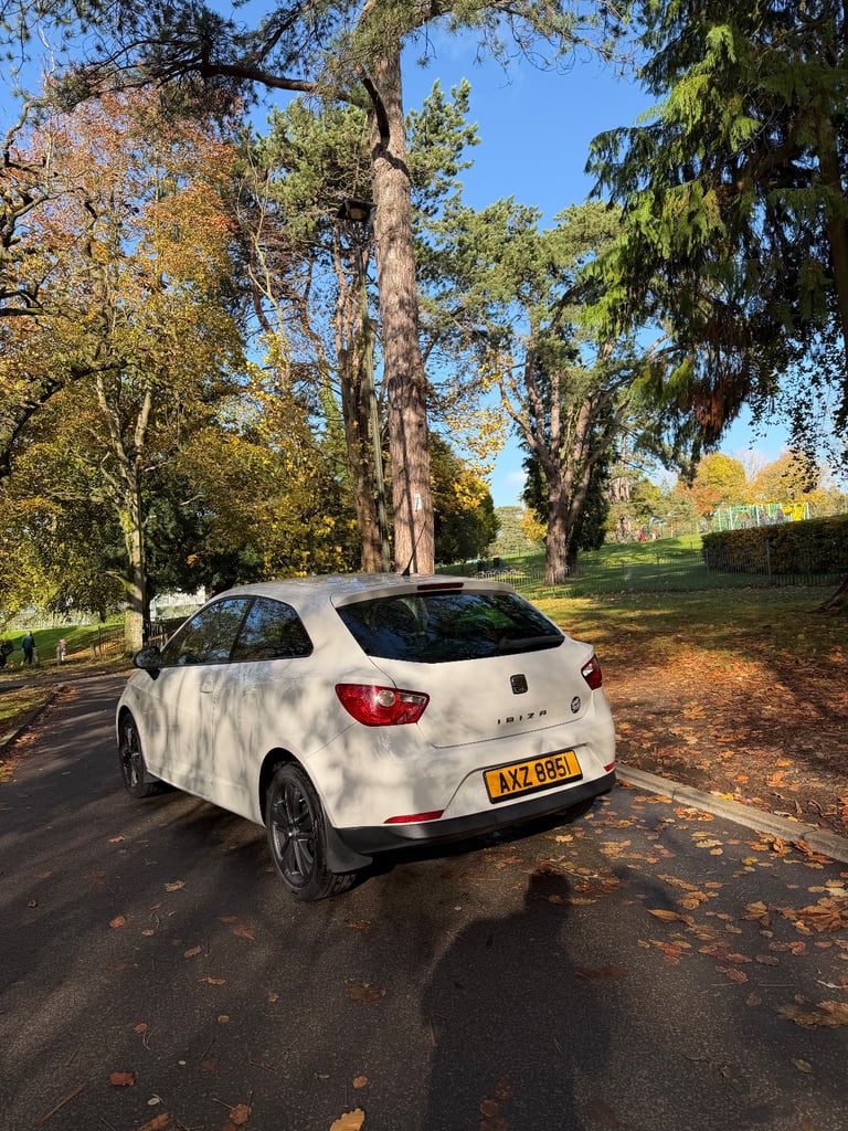 Seat Ibiza Good Stuff 2011 1.4 Petrol