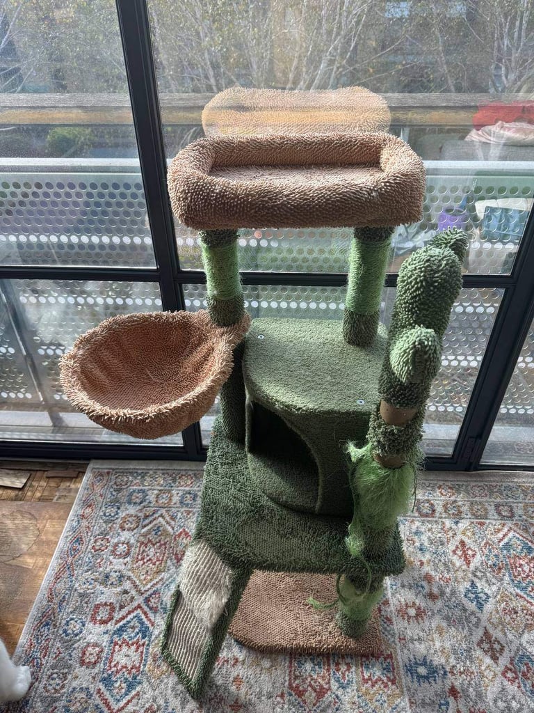 Cat Tree For Free
