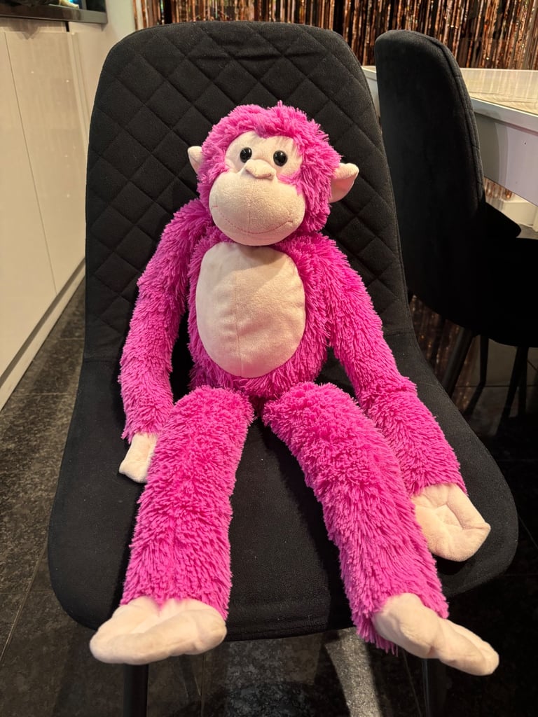 image for Pink Monkey Teddy