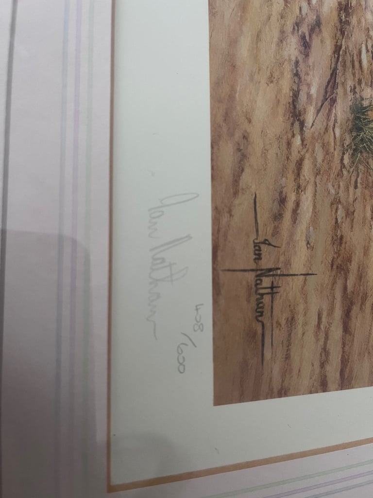 Limited Edition print