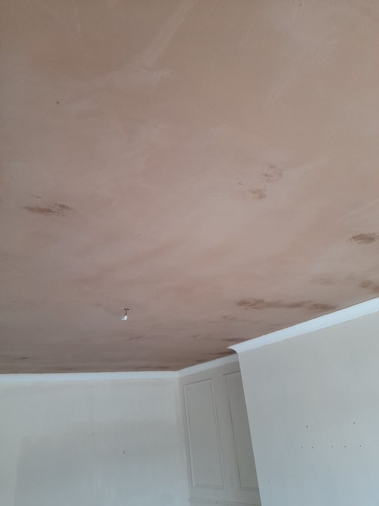 image for Plastering Services Cumbernauld 