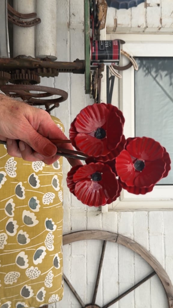 image for Mental poppy’s 