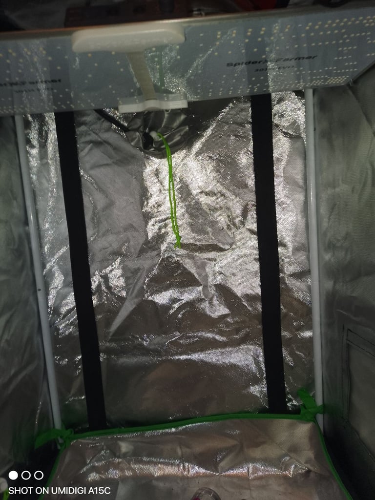 Grow tent and LED light 