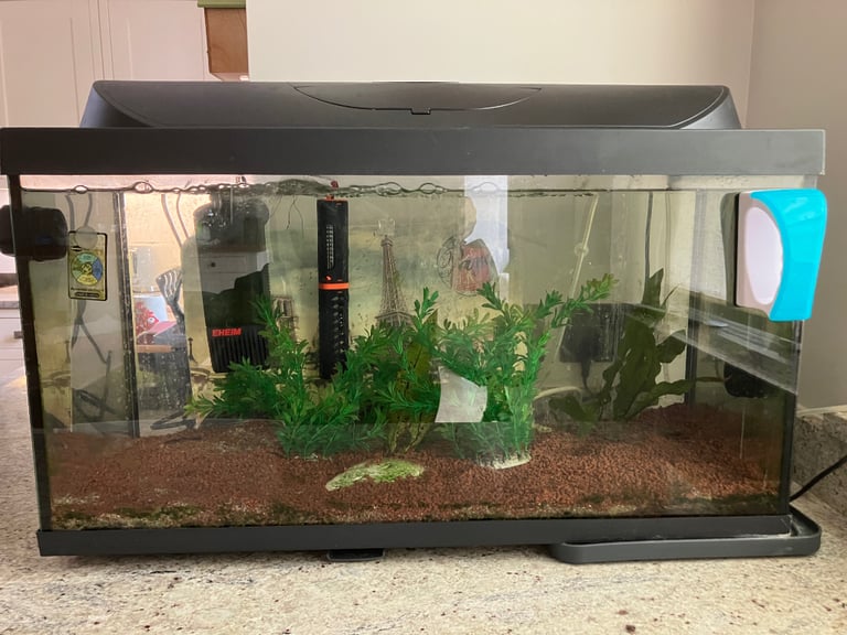 Fish fish tank for Sale in Surrey, Aquariums