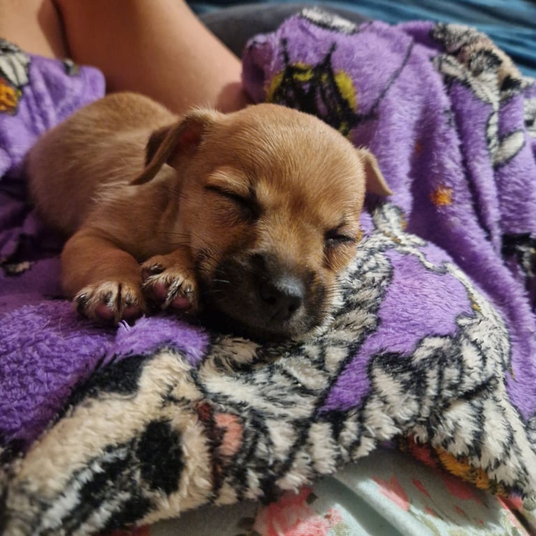 Beautiful little boy 