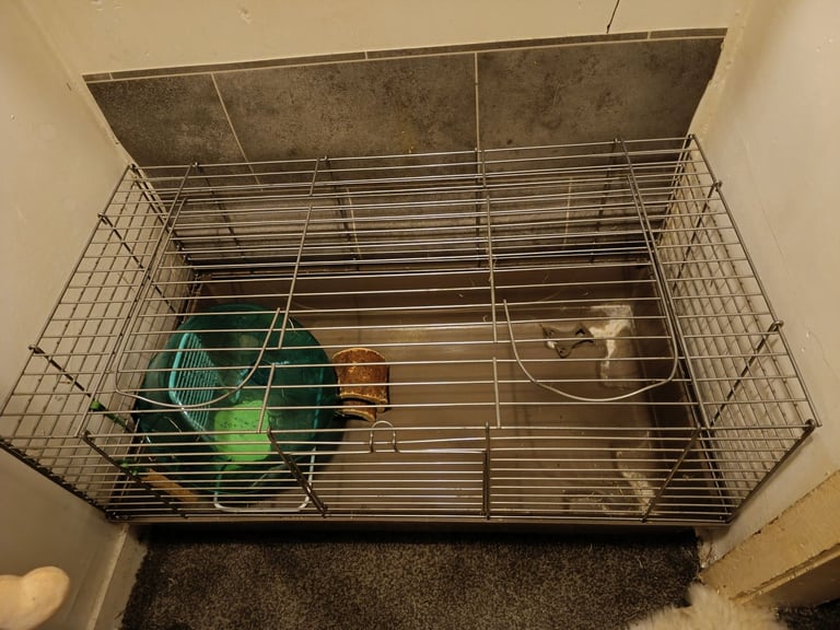 Rabbit cage Gumtree