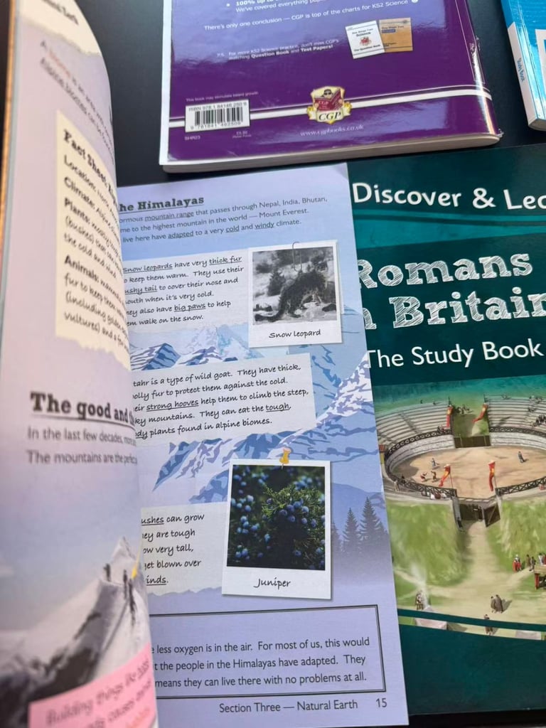 CGP & Collins KS2 Bundle - 5 Books (History, Geography, Science)