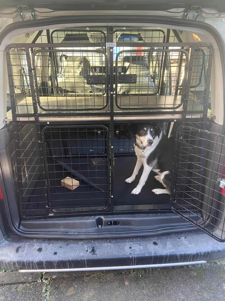 Dog crates 