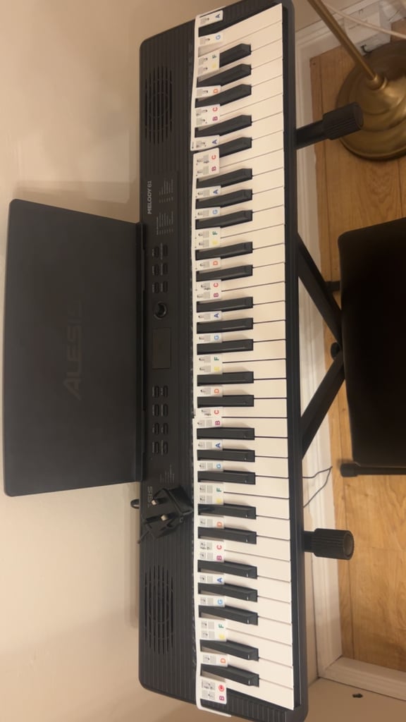 Alesis Melody 61 Keyboard Piano
