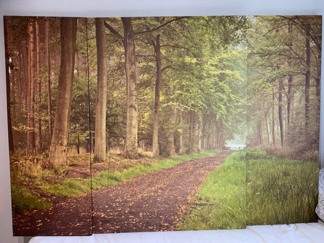 Canvas print ( 3 piece), from Next. Woodland scene; very large.