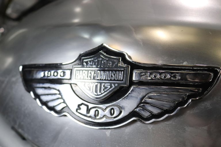 Harley-Davidson VRSCA V-Rod 100th Anniversary