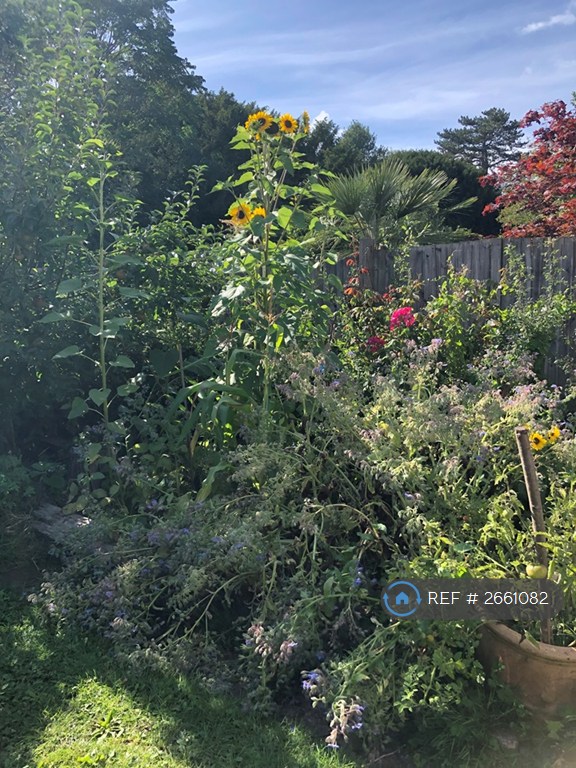 3 bedroom house in Harcourt Drive, Canterbury, CT2 (3 bed) (#2661082)