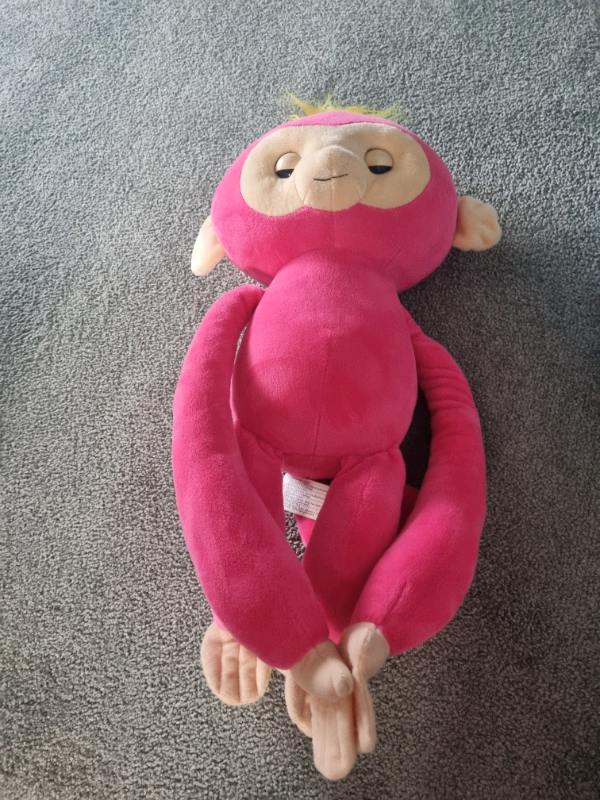 Monkey gumtree sales