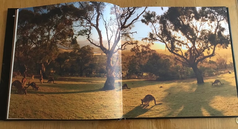 Tasmania Bonorong SancturyBook.Stunning Photos of indigenous Critters 