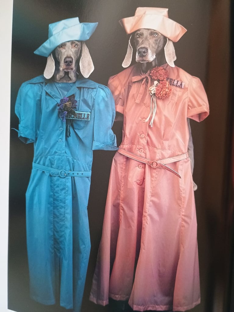  William Wegman - Weimaraner dog books