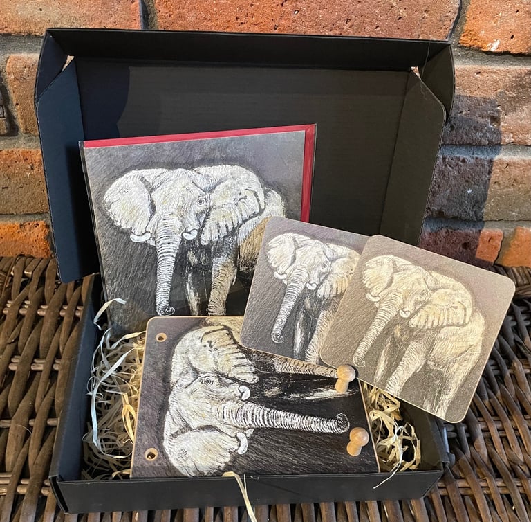 image for Elephant Variety Box