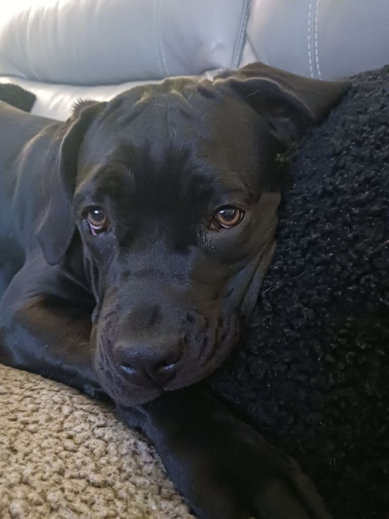 Maggie