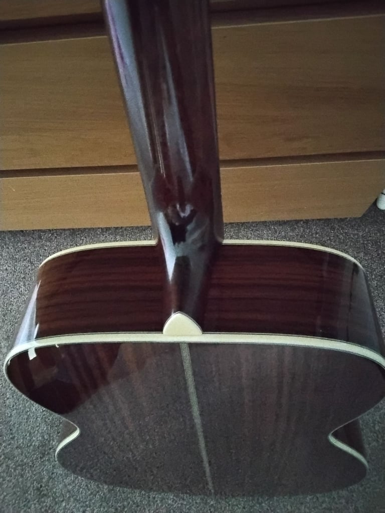 Eastman E20 OM with lr baggs element pick up