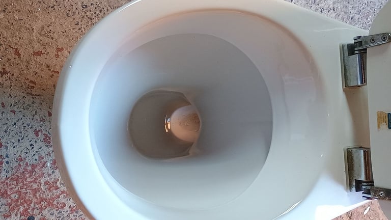 toilet with soft close lid & low level cistern 