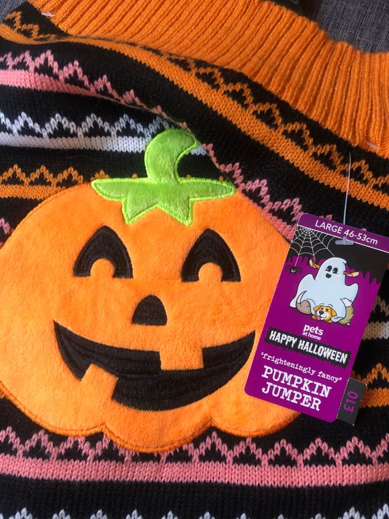 Large Dog Outfit Halloween