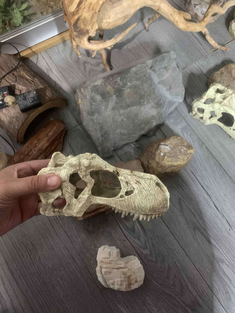 Reptile tank