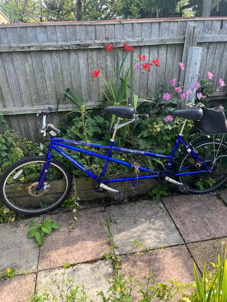 Electric tandem