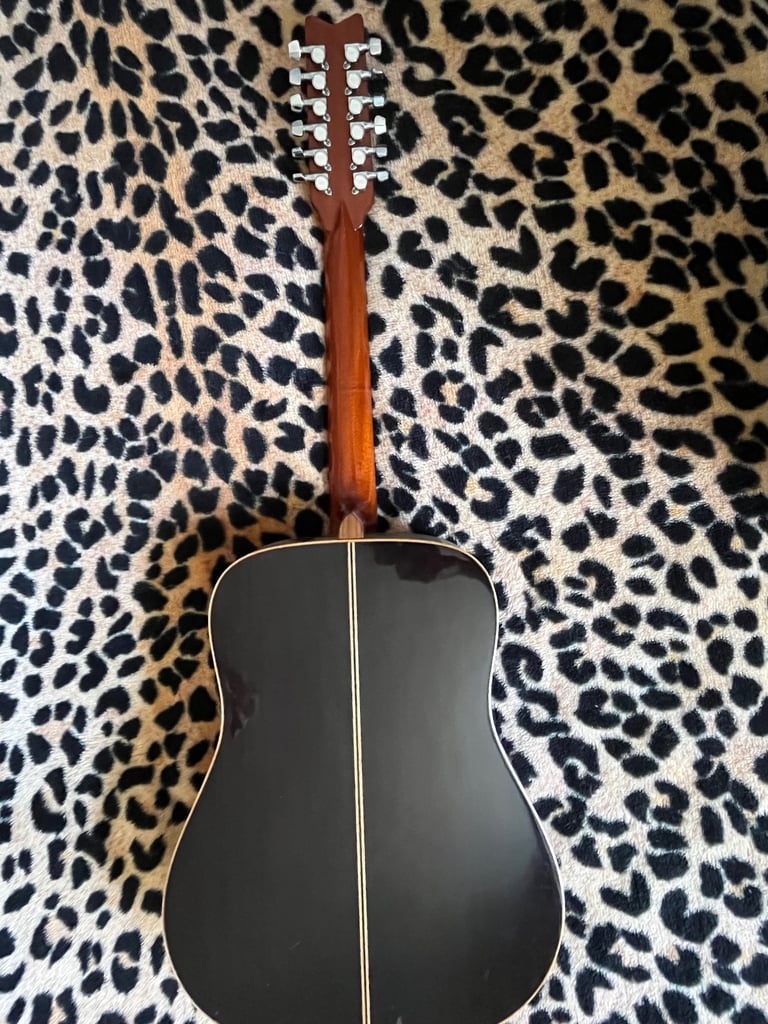 Washburn 12 string guitar D68 SWN