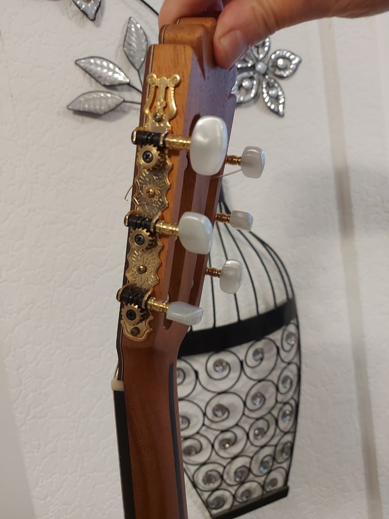 manuel rodriguez model classical C
