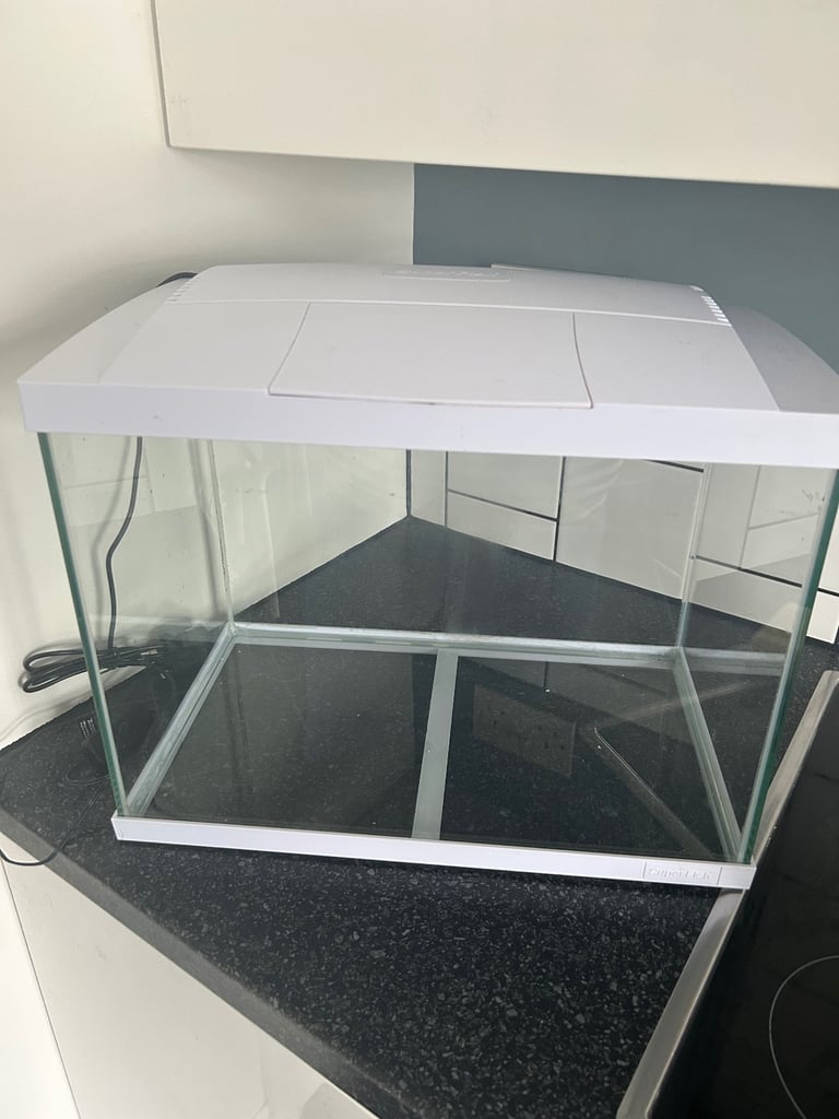 Fish tank and light
