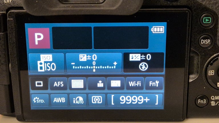 Panasonic lumix fz330 bridge camera 