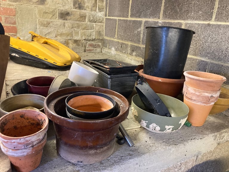 image for Plant pot selection 