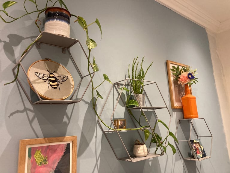 image for Hexagon Shelves | Set of 3 