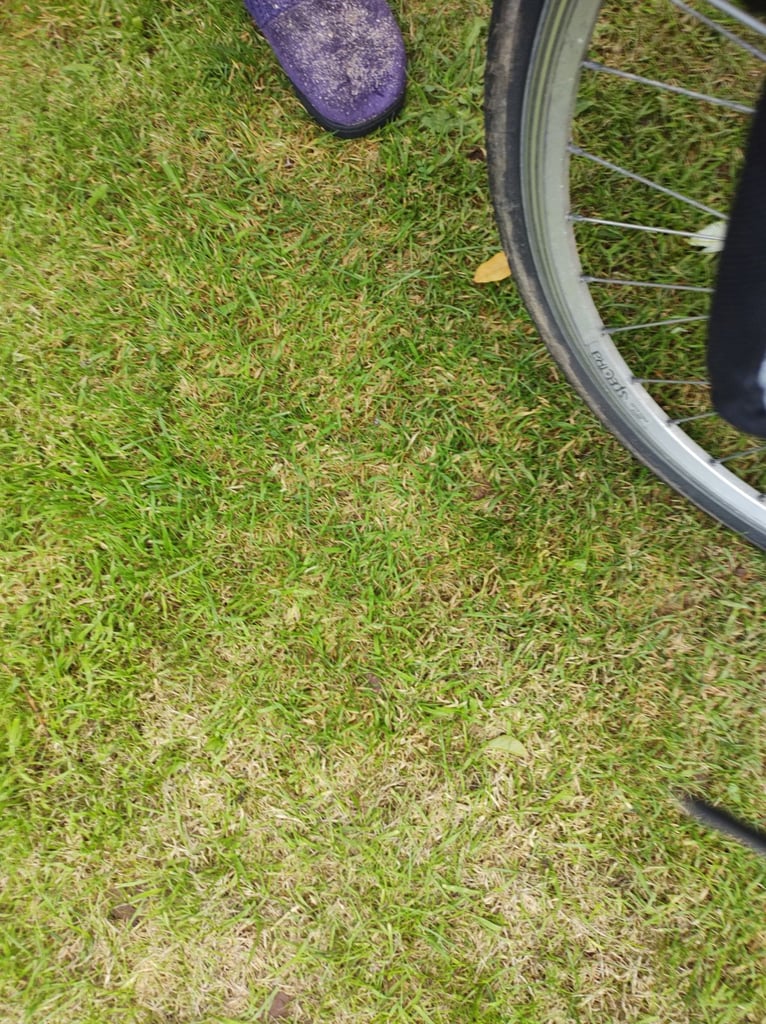 Peugeot electric bike