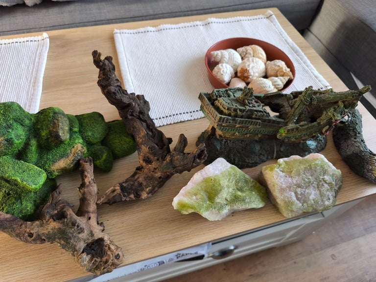 🐠 Complete 100L Aquarium with Light, Filter & Decorations – Ready to Use!