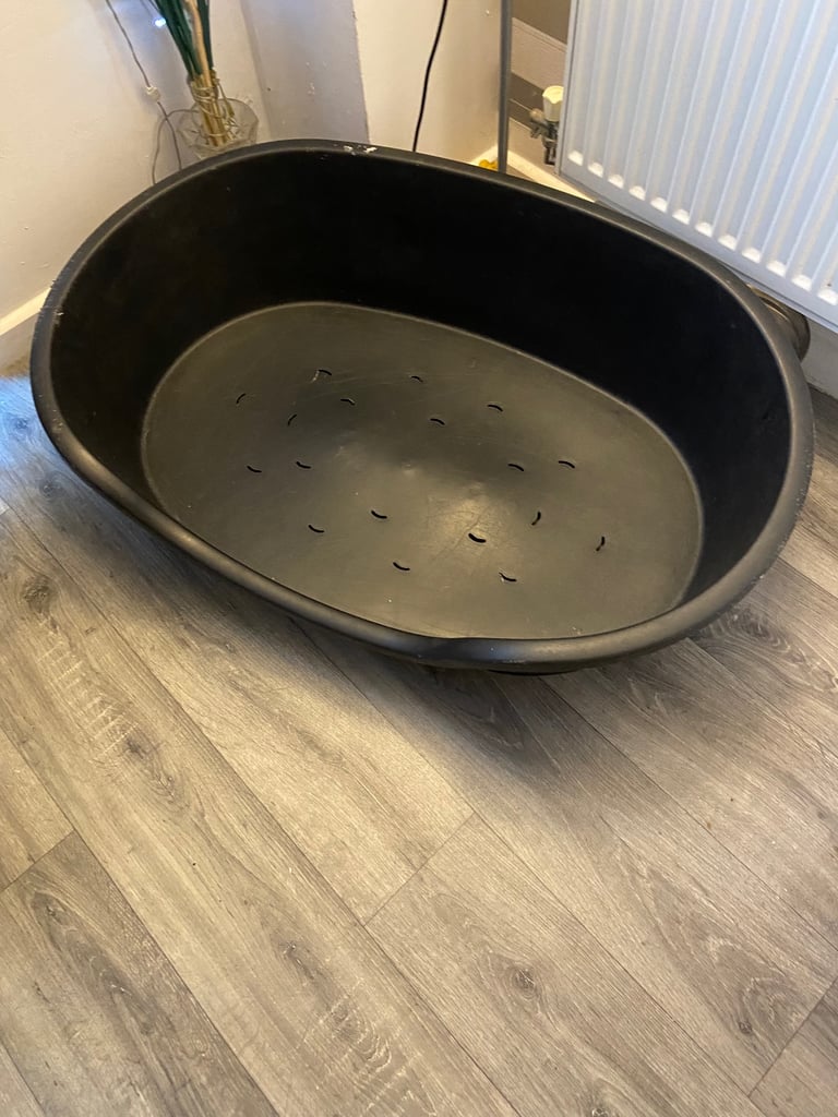 Large plastic dogs bed
