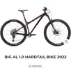 2022 Ragley Big Al 1.0 mens Hardcore Hartail XL frame