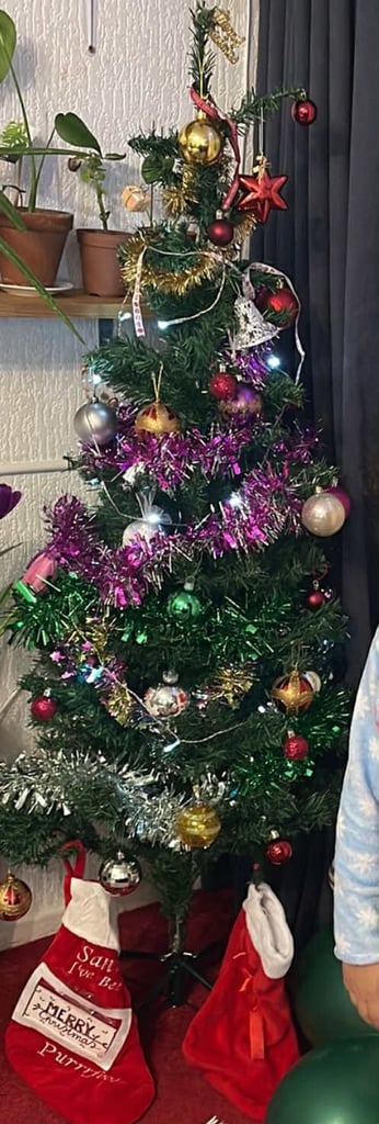 image for Christmas tree 🌲