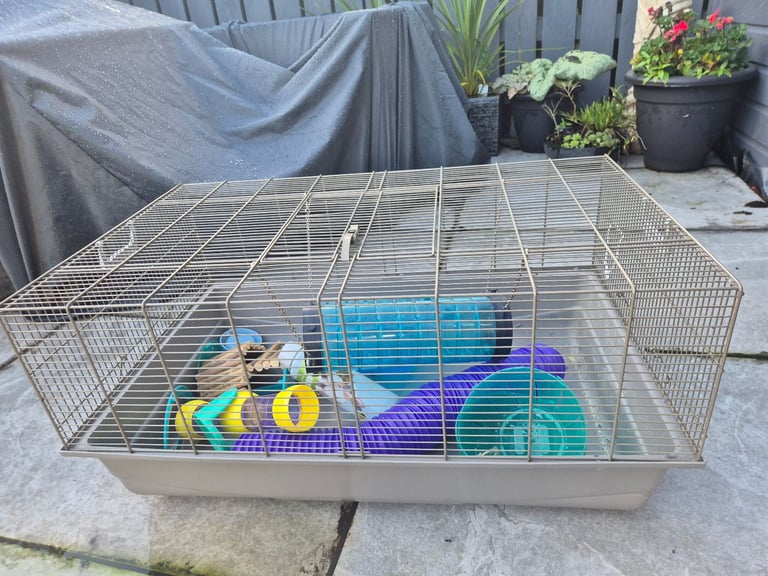 Large Hamster cage + accessories