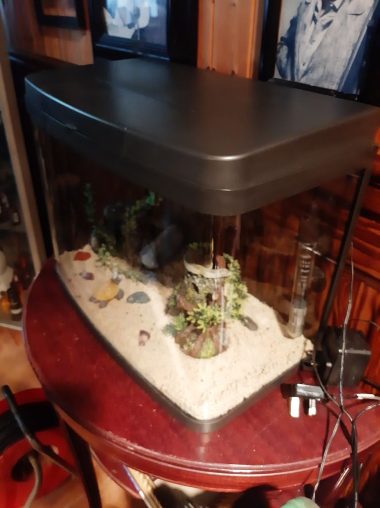 Small fish tank for sale 