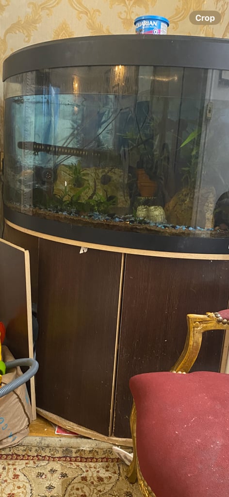 image for Vivarium
