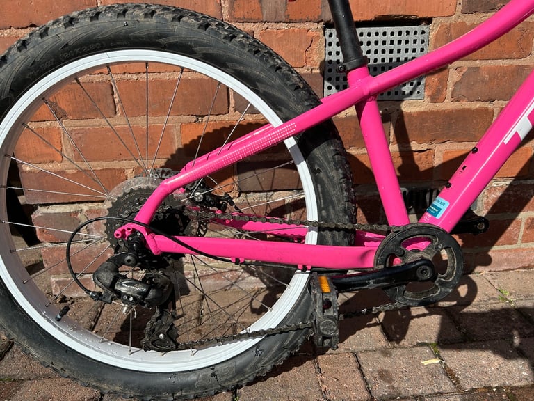 Trek Roscoe 24 mountain bike